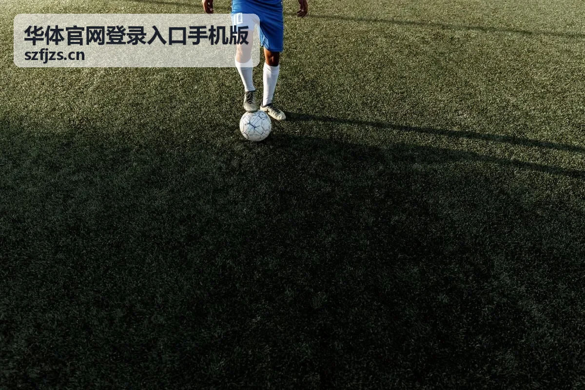 华体官网登录入口手机版账号安全设置示意